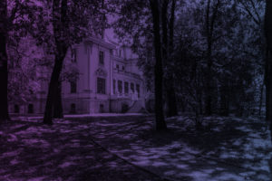 sosnowiec_20-08-2015_foto_radoslaw_kazmierczak_01wwwfn