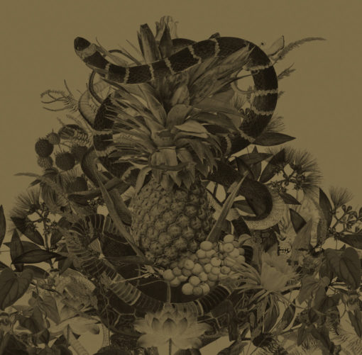 ananas-zloty