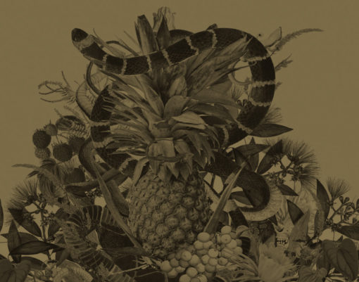 ananas-zloty